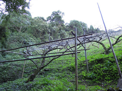 DSCN0374.JPG