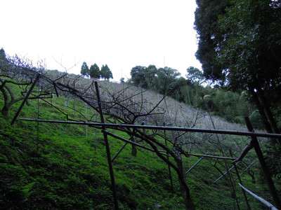 DSCN0375.JPG