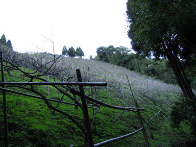 DSCN0376.JPG