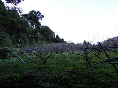 DSCN0377.JPG