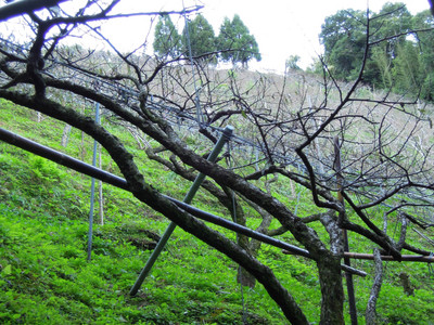 DSCN0378.JPG