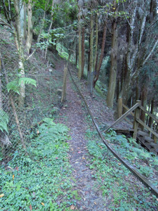 DSCN0379.JPG