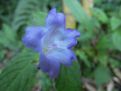 DSCN0382.JPG