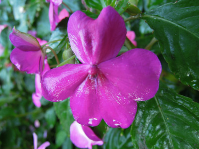 DSCN0386.JPG