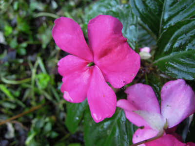 DSCN0389.JPG