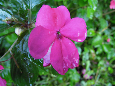 DSCN0390.JPG
