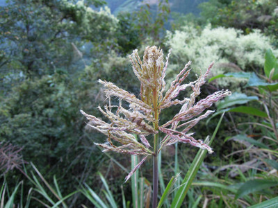 DSCN0393.JPG