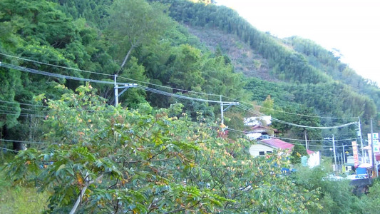 DSCN0399.MOV