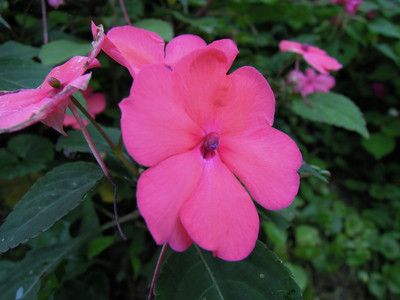 DSCN0409.JPG