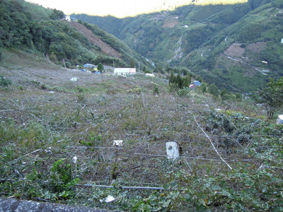 DSCN0410.JPG