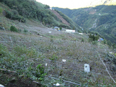 DSCN0411.JPG