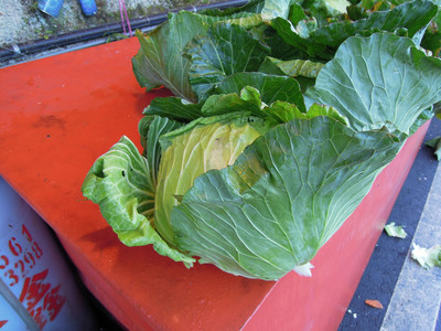 DSCN0418.JPG