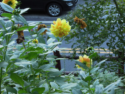 DSCN0420.JPG