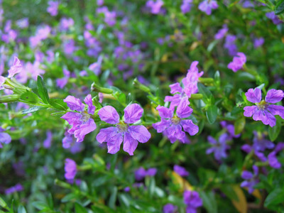 DSCN0425.JPG