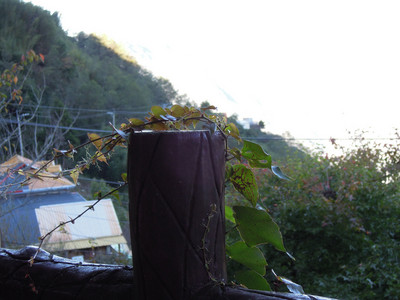 DSCN0434.JPG