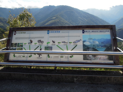 DSCN0462.JPG