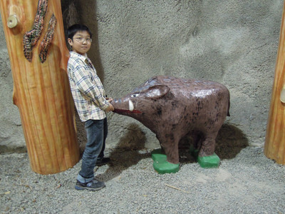 DSCN0502.JPG