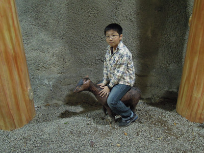 DSCN0503.JPG