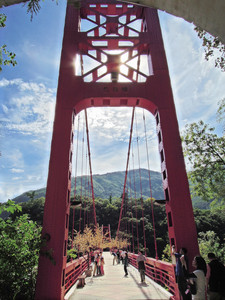 DSCN0513.JPG