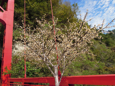 DSCN0522.JPG