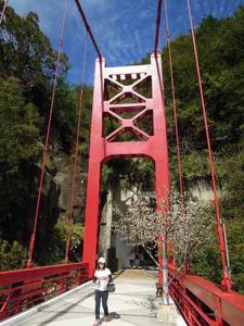 DSCN0523.JPG