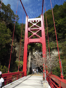 DSCN0524.JPG