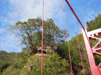 DSCN0529.JPG