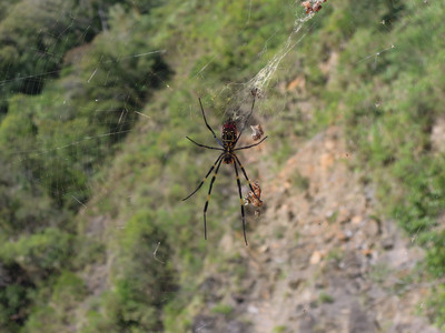 DSCN0552.JPG