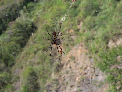 DSCN0553.JPG