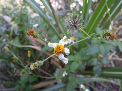 DSCN0590.JPG