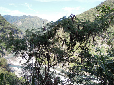DSCN0592.JPG