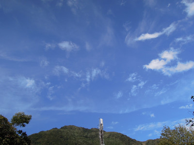 DSCN0603.JPG