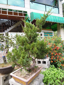 DSCN0605.JPG