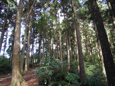 DSCN0648.JPG