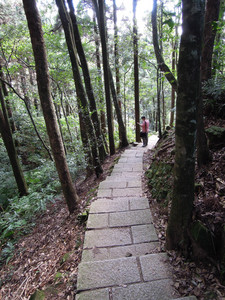 DSCN0649.JPG