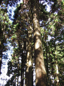 DSCN0653.JPG