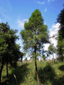 DSCN0654.JPG