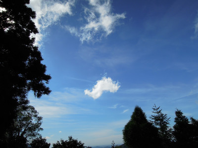 DSCN0655.JPG