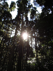 DSCN0660.JPG