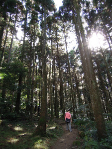 DSCN0661.JPG