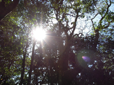 DSCN0666.JPG