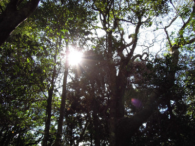 DSCN0667.JPG