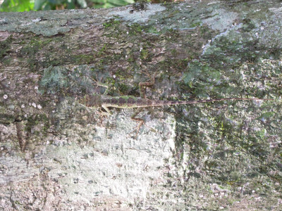 DSCN0670.JPG