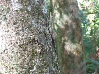 DSCN0671.JPG