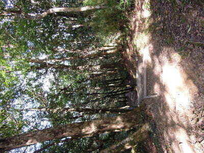 DSCN0673.JPG