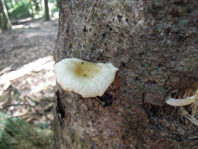DSCN0674.JPG