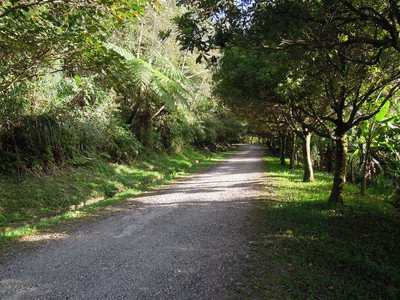 DSCN0713.JPG