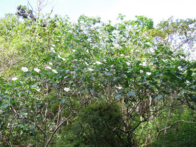DSCN0720.JPG