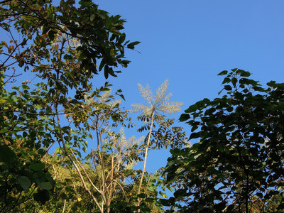 DSCN0722.JPG
