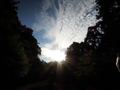 DSCN0723.JPG